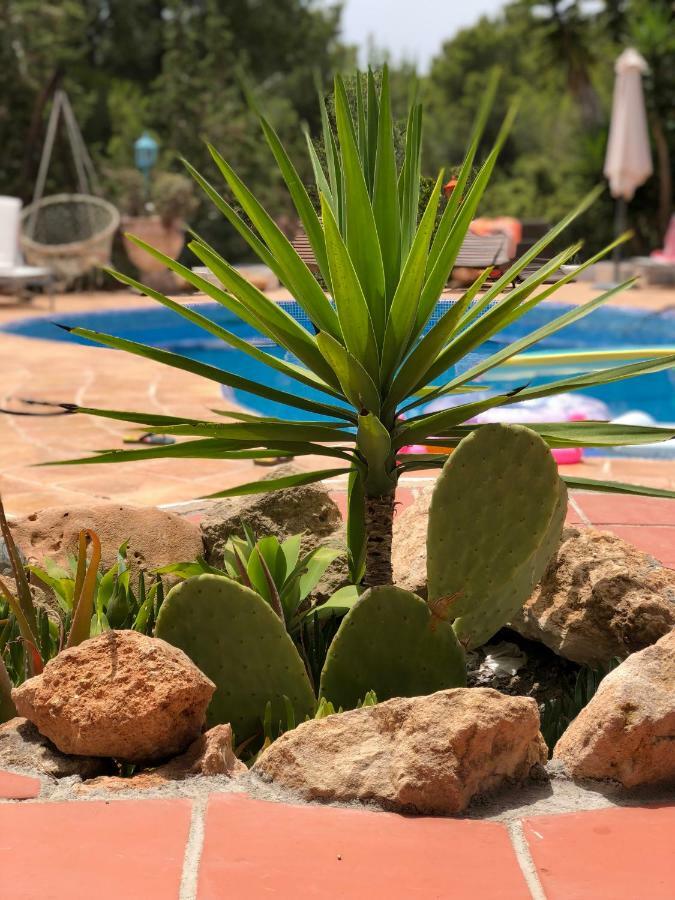 فيلا Micasa Ibiza سان أنطونيو المظهر الخارجي الصورة